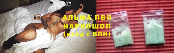прущие грибы Карталы