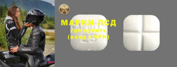 прущие грибы Карталы