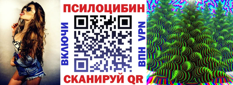 Псилоцибиновые грибы Psilocybe  Купить закладки  Хотьково 